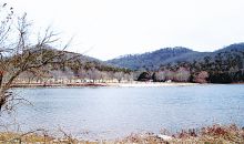 425 ENIGMA ROAD Chestnut Mound, TN 38552