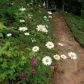 2107 Yorkshire Court, Woodstock, GA 30189 ID:8199935