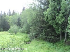 Mi 1 East End Road, Homer, AK 99603