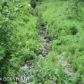 Mi 1 East End Road, Homer, AK 99603 ID:8796688