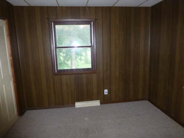 244 N Pitt Street, Virginia, IL 62691