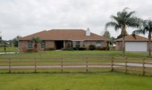 1345 Red Colt Ct Astor, FL 32102