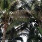 5474 NW 92 AV, Fort Lauderdale, FL 33351 ID:9383614