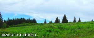 40398 Gruening Street, Homer, AK 99603