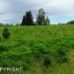 40398 Gruening Street, Homer, AK 99603 ID:9022831