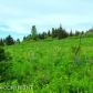 40398 Gruening Street, Homer, AK 99603 ID:9022832