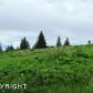 40398 Gruening Street, Homer, AK 99603 ID:9022833