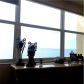 1904 S OCEAN DR # 1804, Hallandale, FL 33009 ID:9180586
