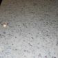 4342 Carrollwood Drive, Stone Mountain, GA 30083 ID:9003261