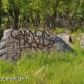 L6 Golden Plover Avenue, Homer, AK 99603 ID:8410618