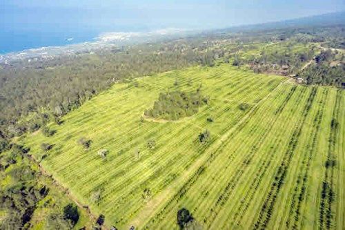 76-1352 WAIONO RD, Holualoa, HI 96725
