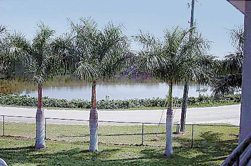145 Horseshoe, Terra Ceia, FL 34250