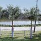 145 Horseshoe, Terra Ceia, FL 34250 ID:7722992
