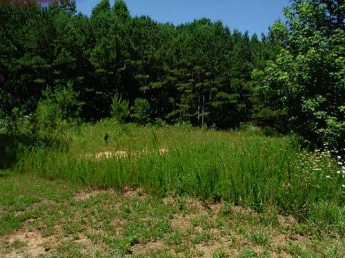 0 East Paulding Drive, Dallas, GA 30157