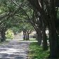 1931 SW 52 TE, Fort Lauderdale, FL 33317 ID:9130338
