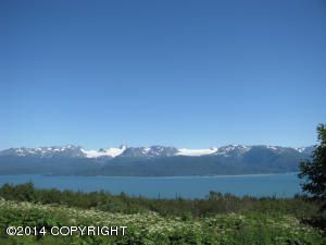 38090 Burly Street, Homer, AK 99603