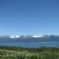 38090 Burly Street, Homer, AK 99603 ID:9457819