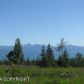 38090 Burly Street, Homer, AK 99603 ID:9457823
