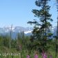 38090 Burly Street, Homer, AK 99603 ID:9457825