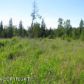 38090 Burly Street, Homer, AK 99603 ID:9457826