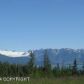 38090 Burly Street, Homer, AK 99603 ID:9457827