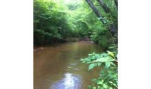 0 South Porter Rd. Shiloh, GA 31826