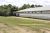 1424 Goshen Rd Carthage, MS 39051