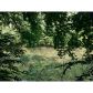 137 Fox Mountain Way, Dahlonega, GA 30533 ID:9368714