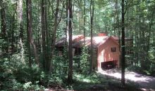 210 Northwoods Drive Ball Ground, GA 30107