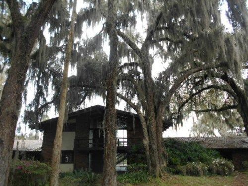 9161 Ne 310th Ave, Fort Mc Coy, FL 32134