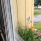 1211 Elegante Lane, Anchorage, AK 99501 ID:9534407