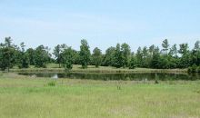 4468 Langston Drive Millen, GA 30442