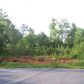 0 Heritage Plantation Drive, Ball Ground, GA 30107 ID:8840409