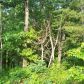 0 Heritage Plantation Drive, Ball Ground, GA 30107 ID:8840411