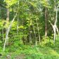 0 Heritage Plantation Drive, Ball Ground, GA 30107 ID:8840413