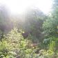 0 Heritage Plantation Drive, Ball Ground, GA 30107 ID:8840415