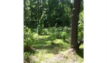 0 South Porter Road Shiloh, GA 31826