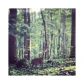 3775 Autumn Chase Court Nw, Kennesaw, GA 30152 ID:9362644