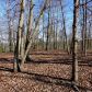 140 Howell Road, White, GA 30184 ID:8978820