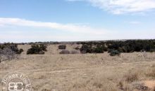 150 acres - Mason County - CPR Ranch Mason, TX 76856