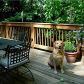 132 Terrace Drive Ne, Atlanta, GA 30305 ID:9631090