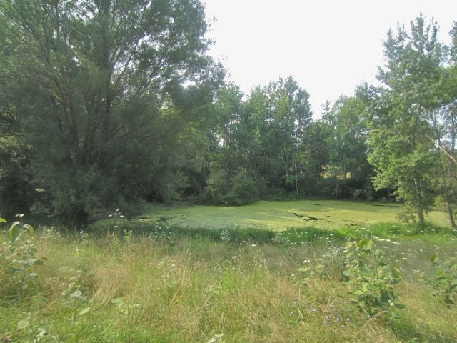 1100 13 Mile Rd NE, Sparta, MI 49345