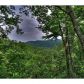 95 Rocky Road, Cherrylog, GA 30522 ID:9689609