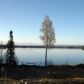 32411 Lakefront Drive, Soldotna, AK 99669 ID:8836680