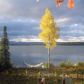 32411 Lakefront Drive, Soldotna, AK 99669 ID:8836681