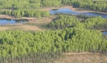 ASLS 95-016 Tract A, B, C, D, E Big Lake, AK 99652