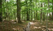 5950 Jot Em Down Crossroad Cumming, GA 30041