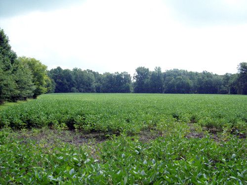2 Borderline Road, Fayetteville, TN 37334