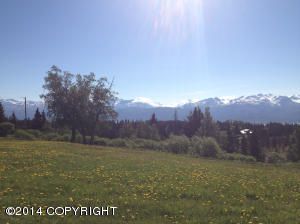 46915 E East End Road, Homer, AK 99603