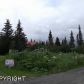 34827 Greentree Circle, Homer, AK 99603 ID:9457518